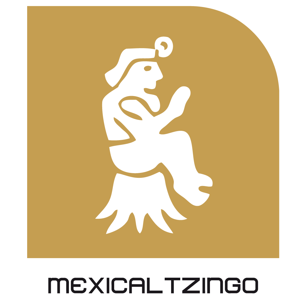 Metro mexicaltzingo